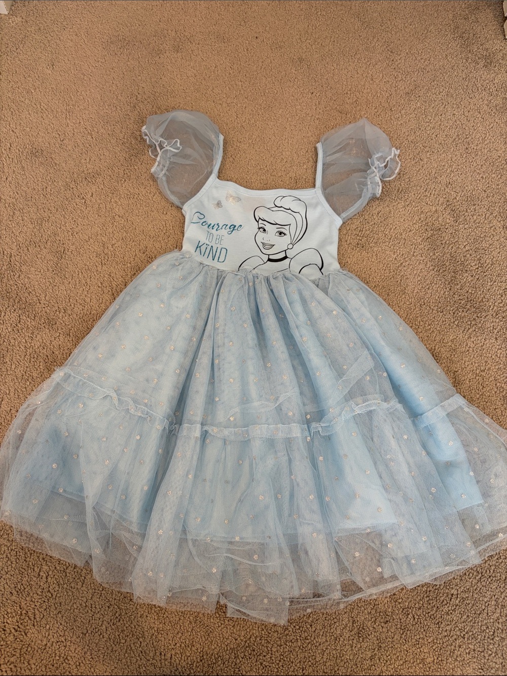 Disney Light Blue Cinderella Tulle Princess Dress